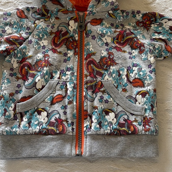 Gently loved Gray Zip up Dragon Print Hoodie Truly Scrumptious by Heidi Klum - Picture 2 of 10